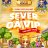 GAVIP17
